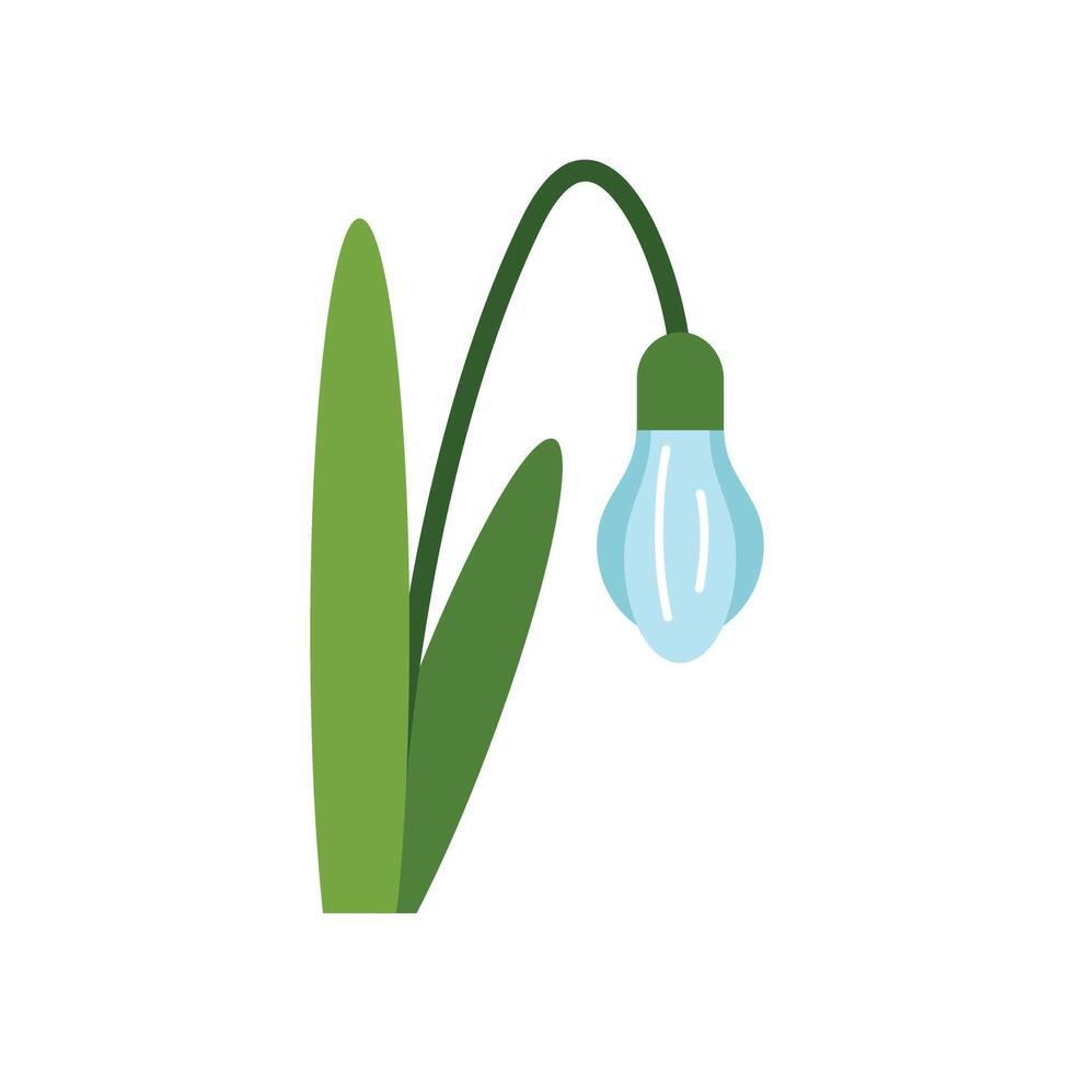 Delicate snowdrop flower blooming in springtime vector