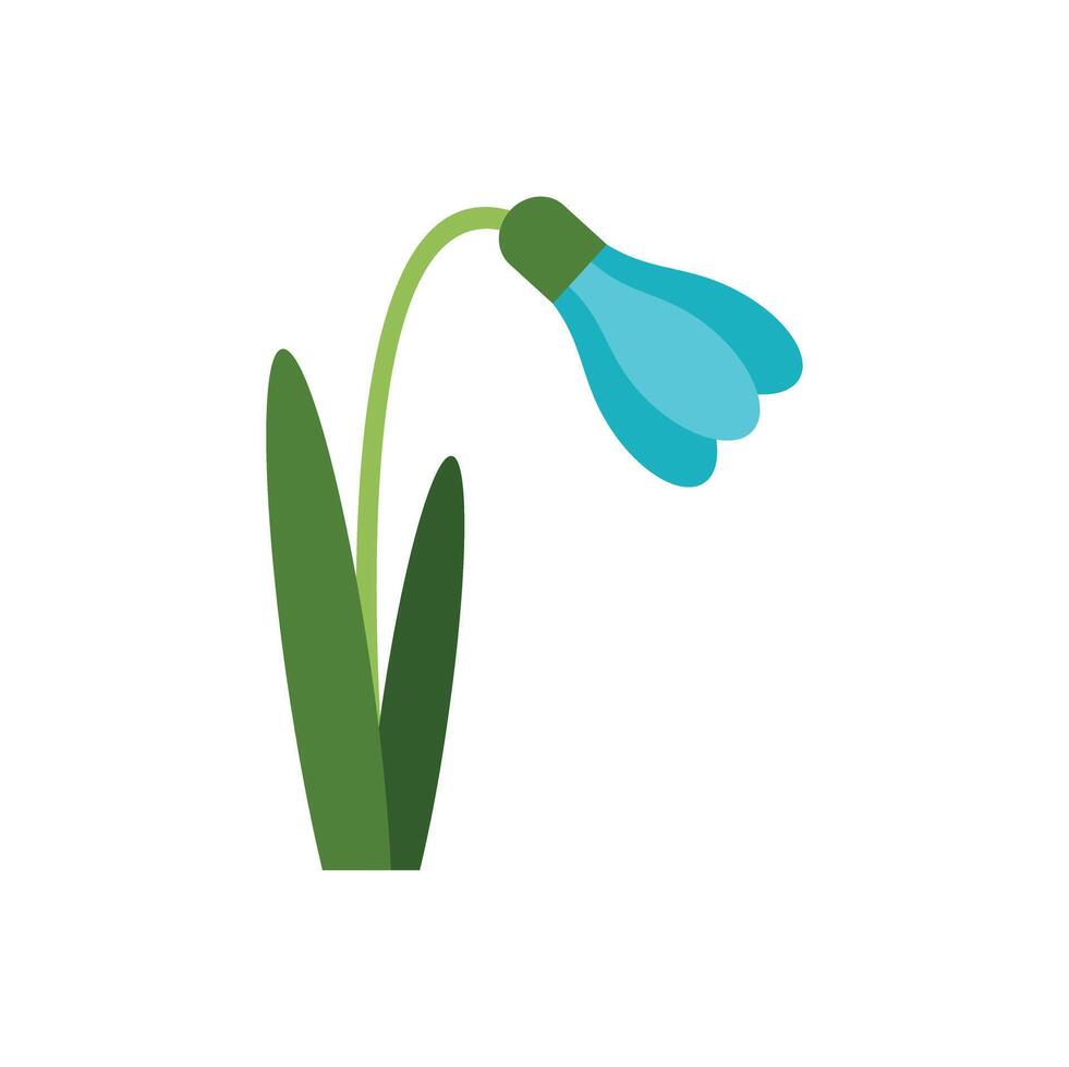 Blue snowdrop flower blooming in springtime vector