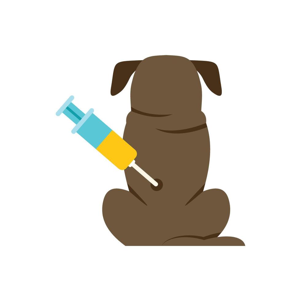 Brown dog getting vaccine injection on white background vector