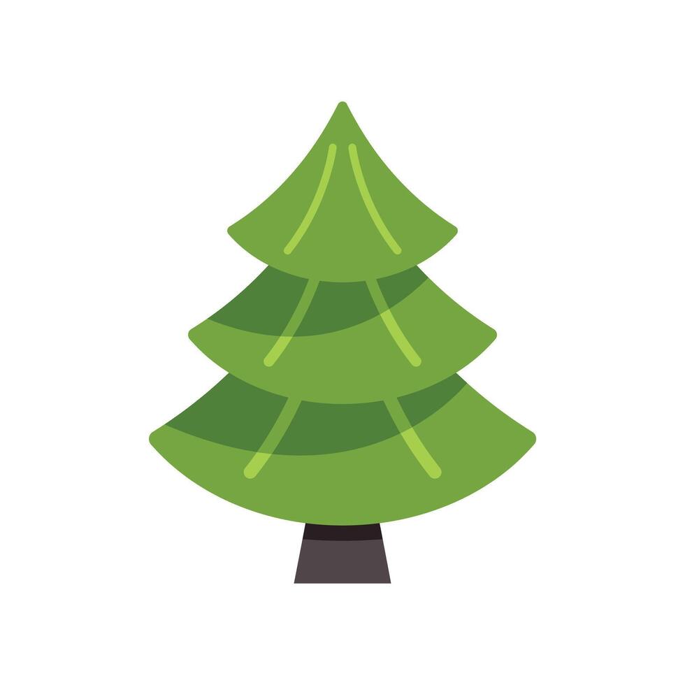 Green coniferous tree growing in forest vector