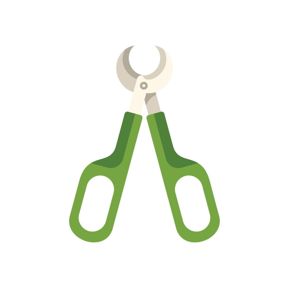 Secateurs gardening tool with green handles for cutting branches vector