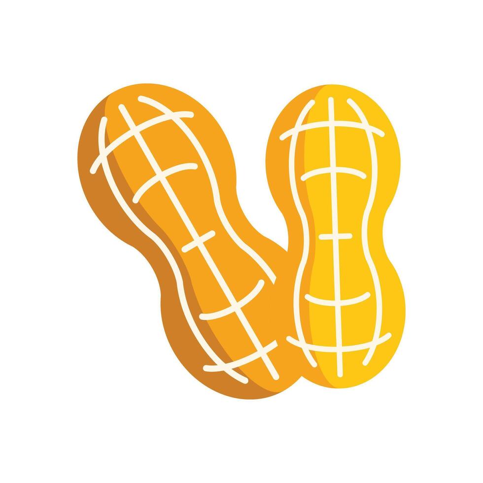 Two peanuts in shell lying next to each other vector