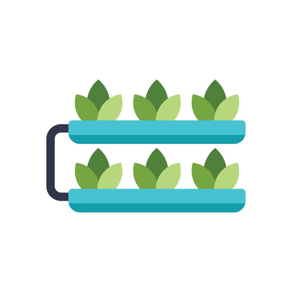 Hydroponic system growing green plants on shelves vector