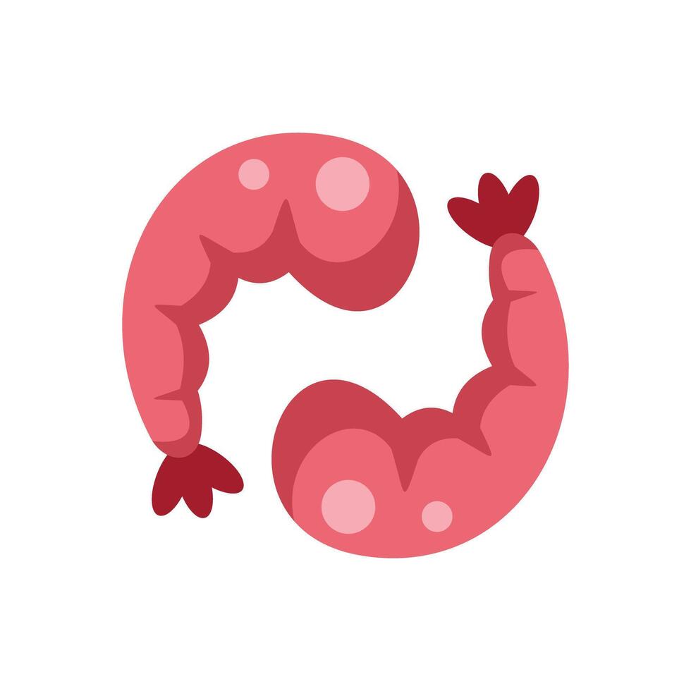 Two cooked shrimps forming a circle on white background vector