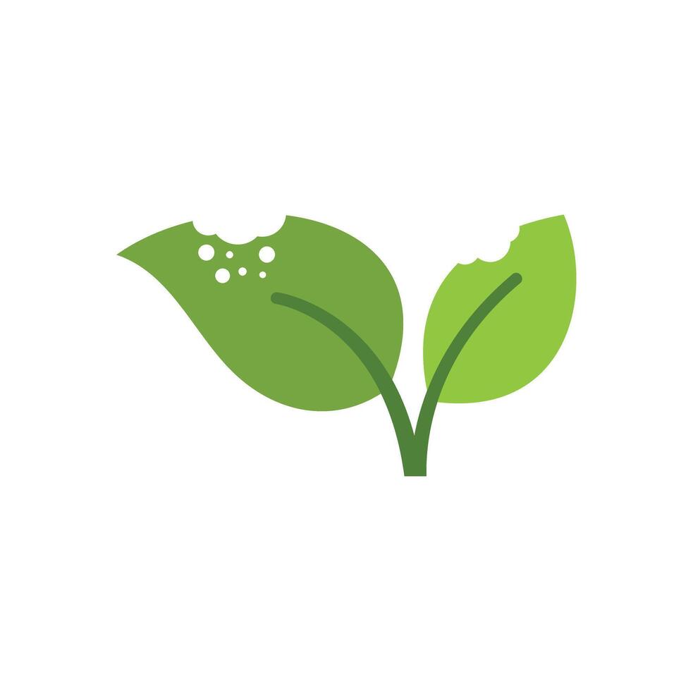 Green leaves showing signs of pest infestation icon vector