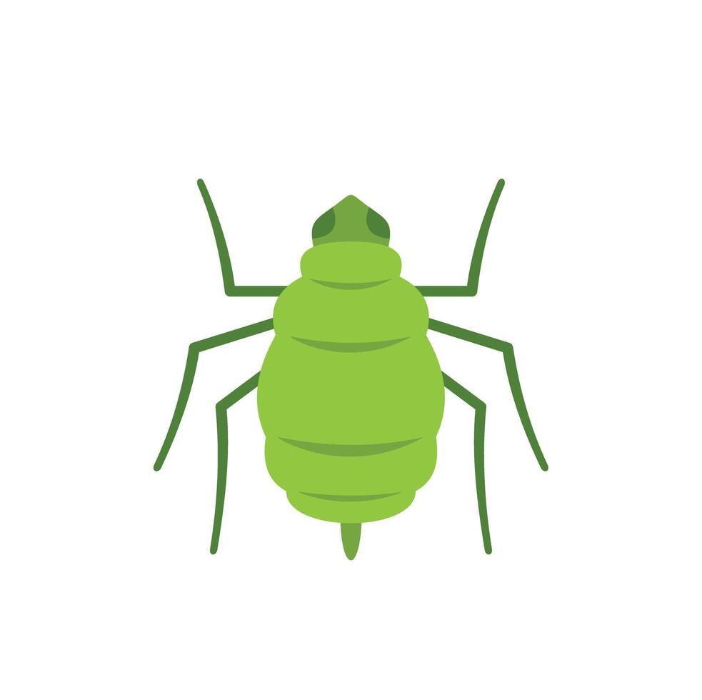 Green aphid insect pest crawling top view illustration vector