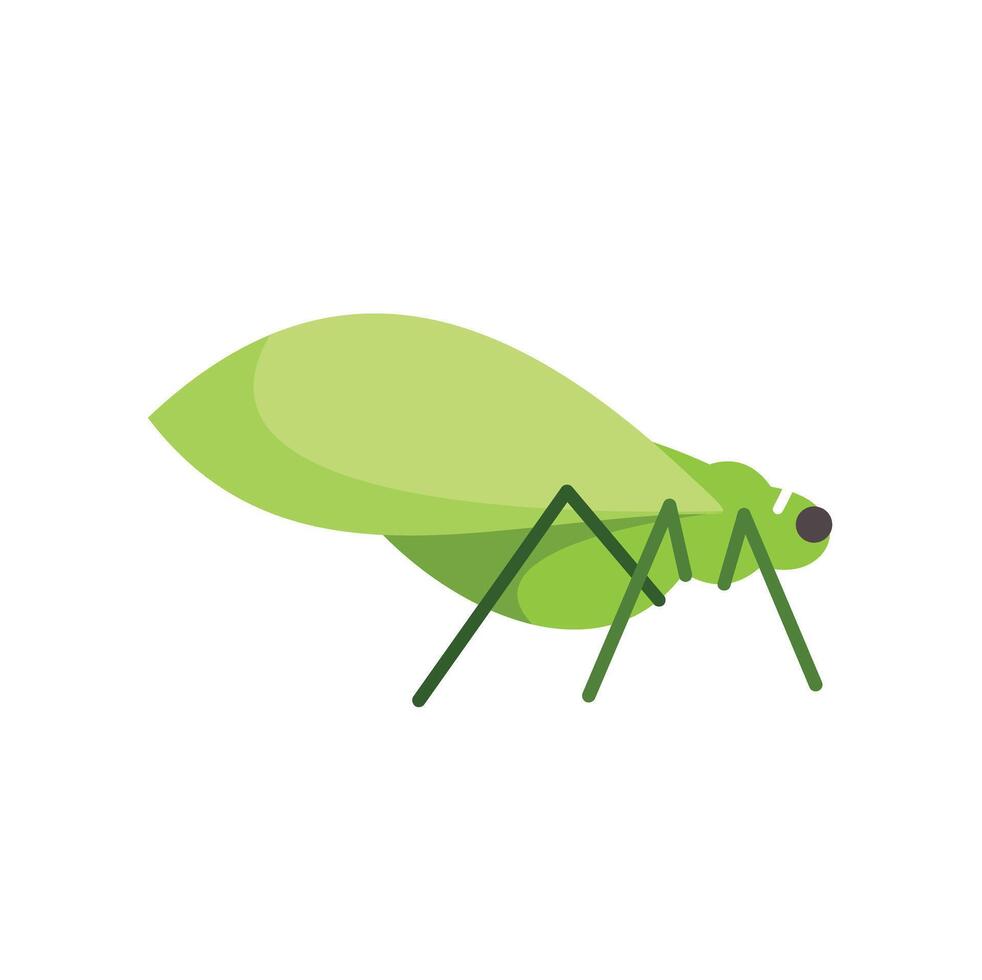 Green leaf insect standing on six legs vector