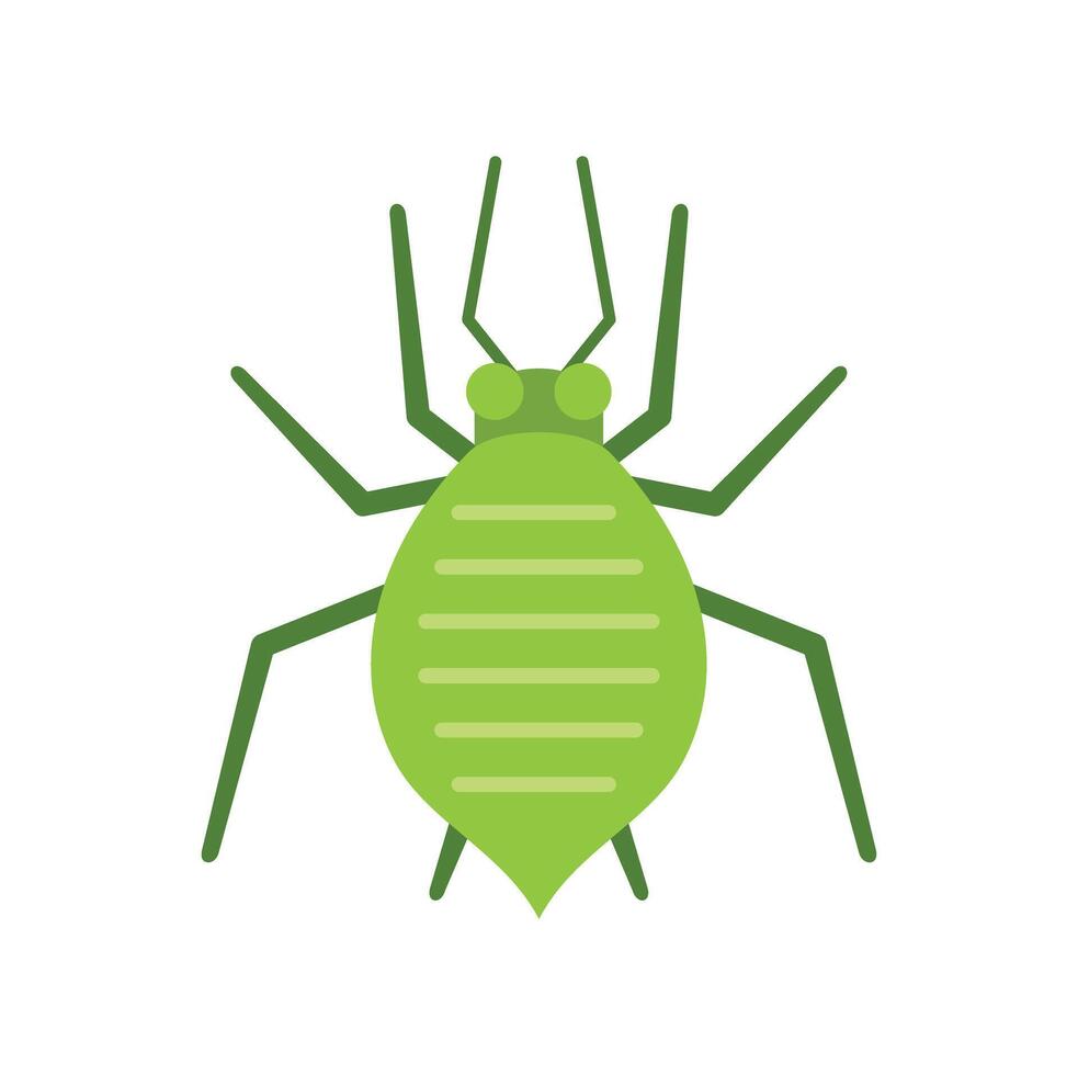 Green aphid insect pest crawling isolated on white background vector