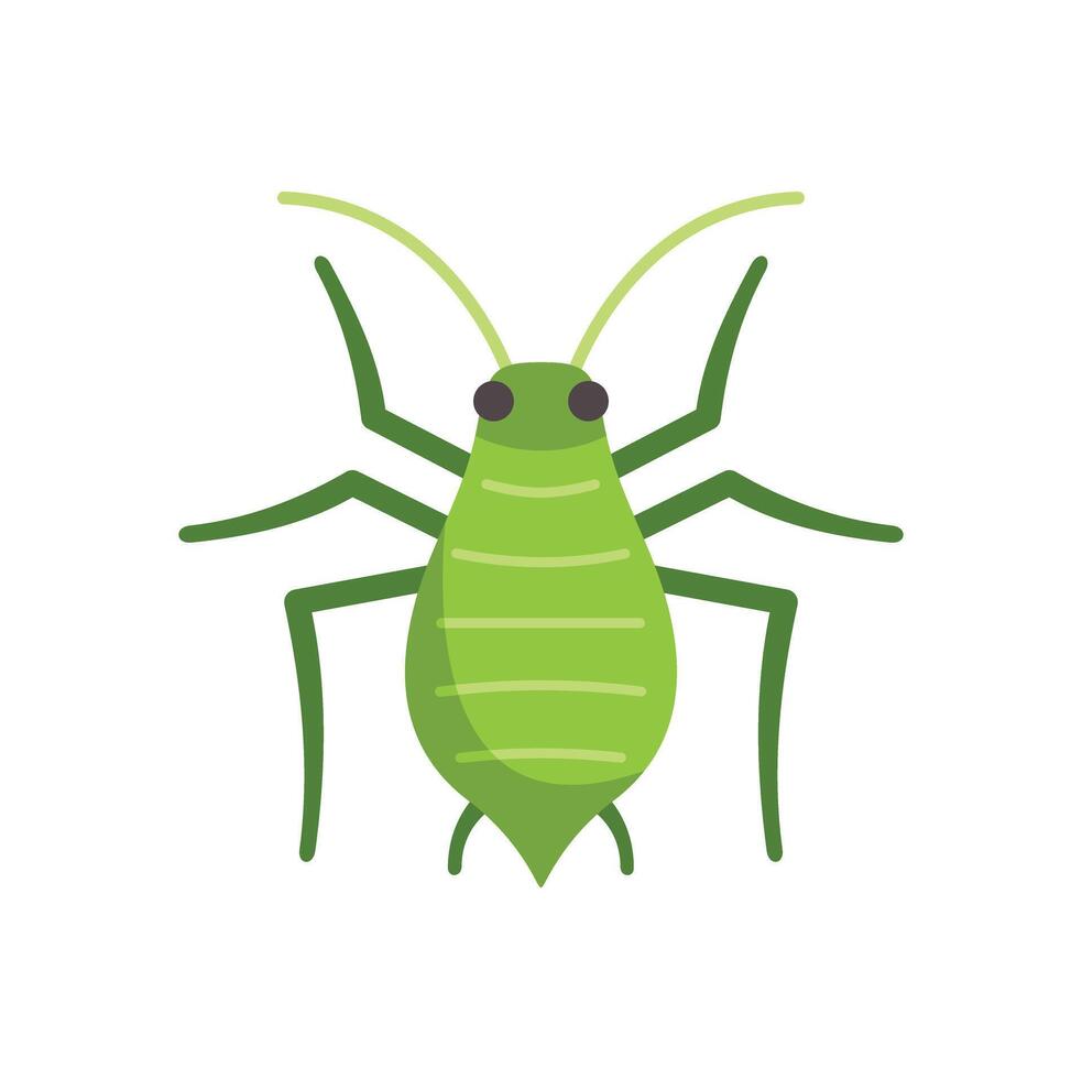 Green aphid insect pest crawling with long antennae vector