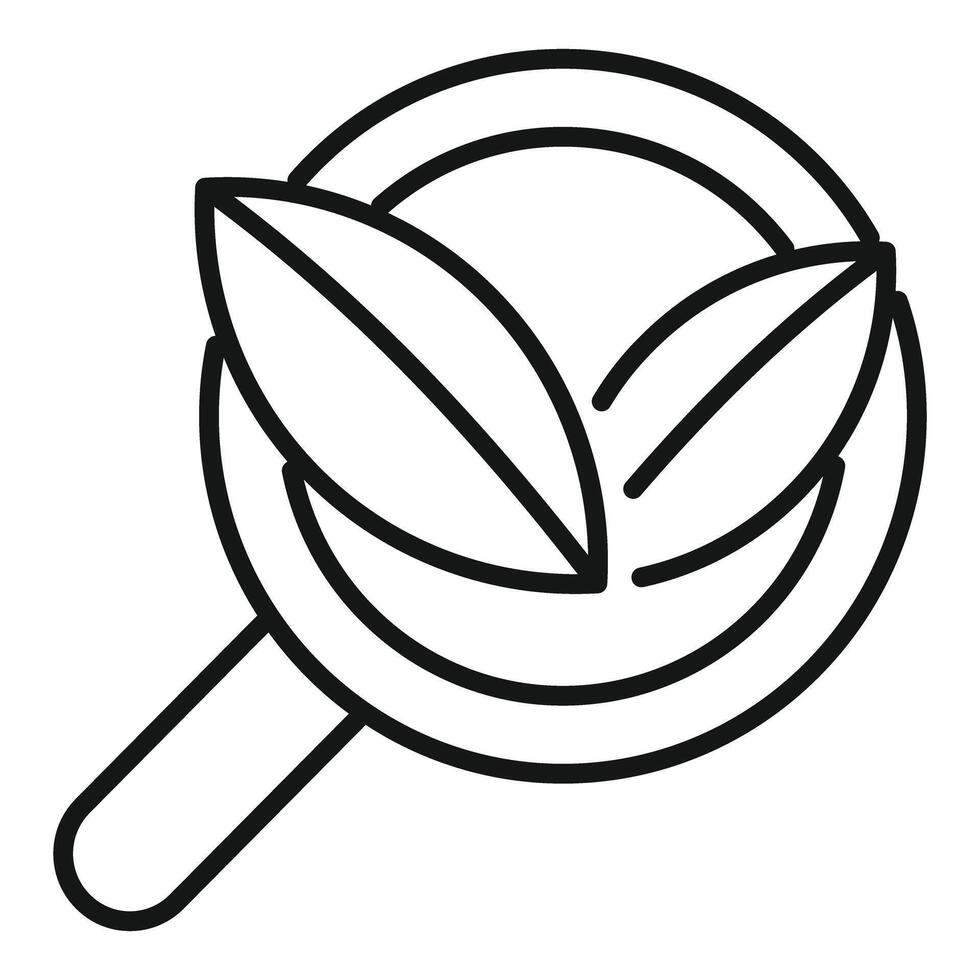 Magnifying glass showing green leaves symbolizing ecology research vector