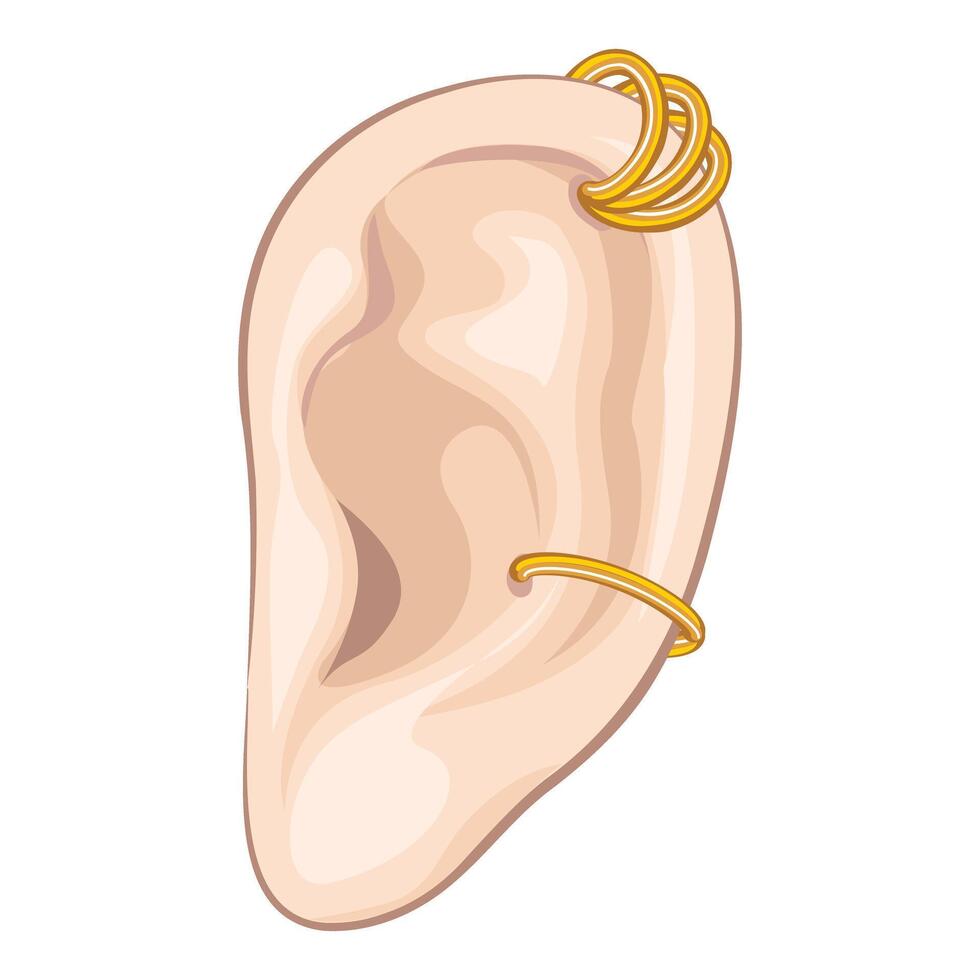 Human ear with multiple golden piercings showing stylish body modification vector
