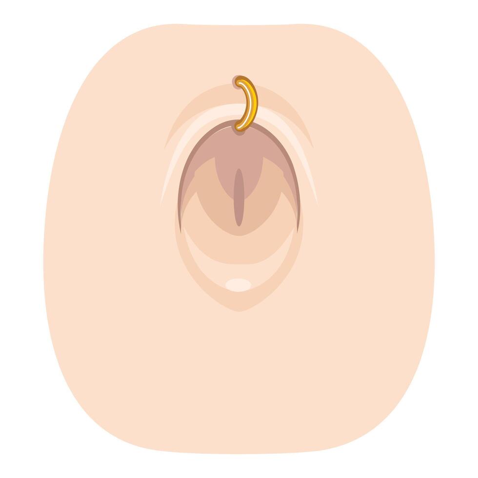 Close up of navel piercing showing golden ring adorning belly button vector