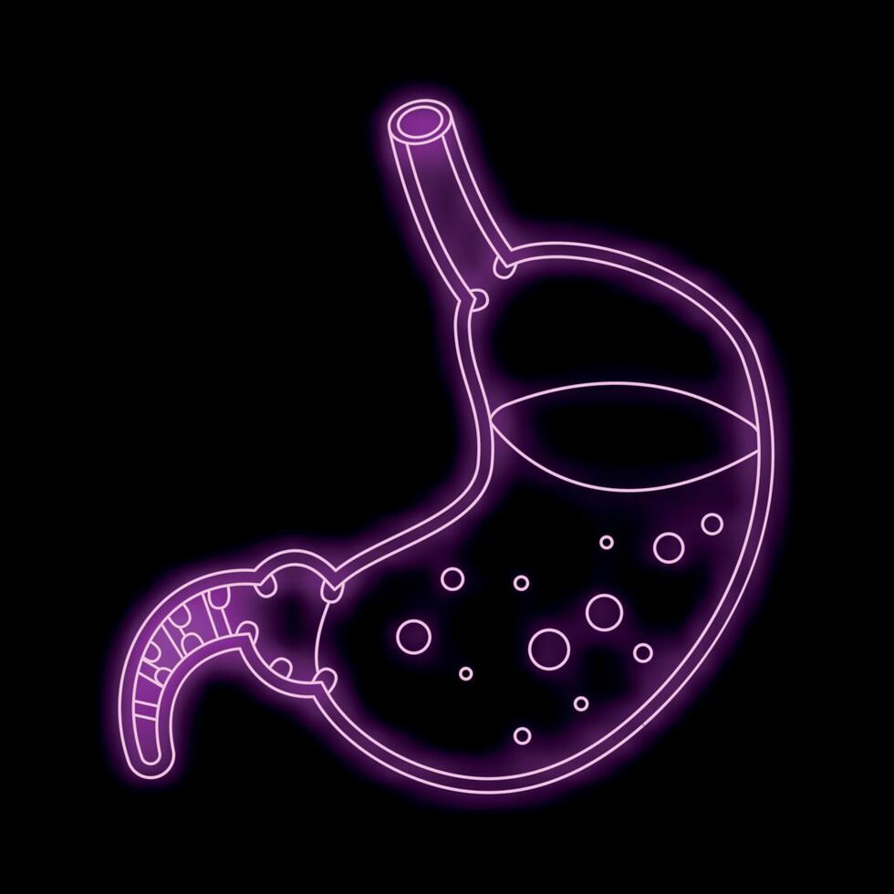 Neon stomach showing digestion with bubbles inside glowing purple vector