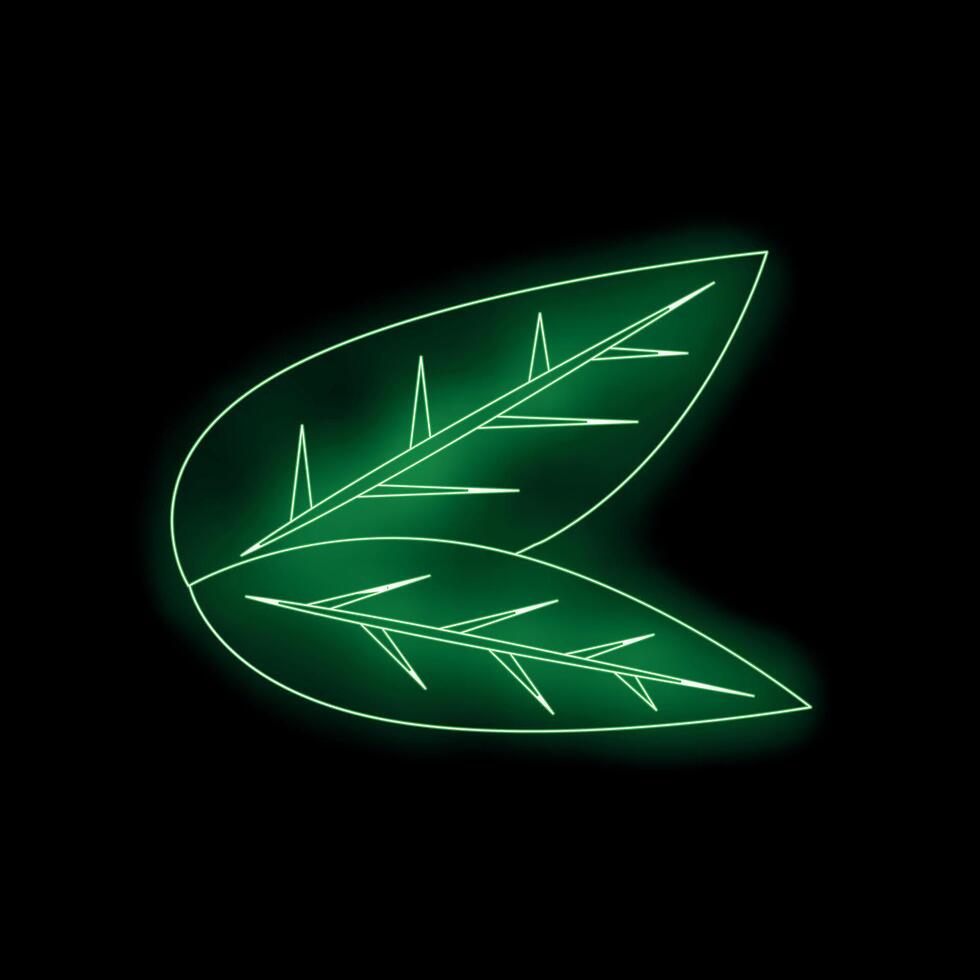 Neon green leaves glowing on black background vector