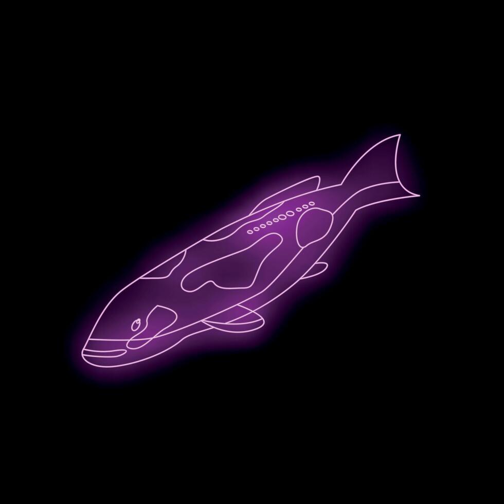 Neon purple koi fish swimming upwards on black background vector