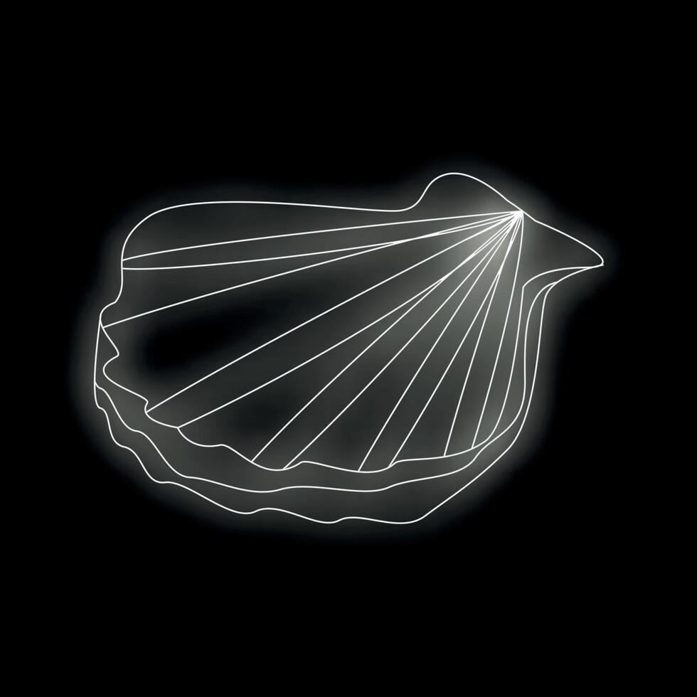 White line drawing of a scallop shell glowing on black background vector