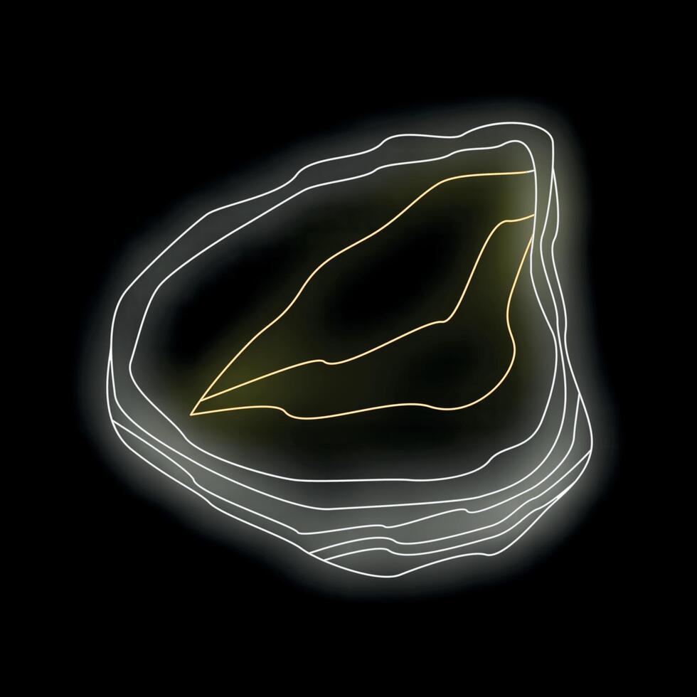 Neon agate slice glowing on black background vector