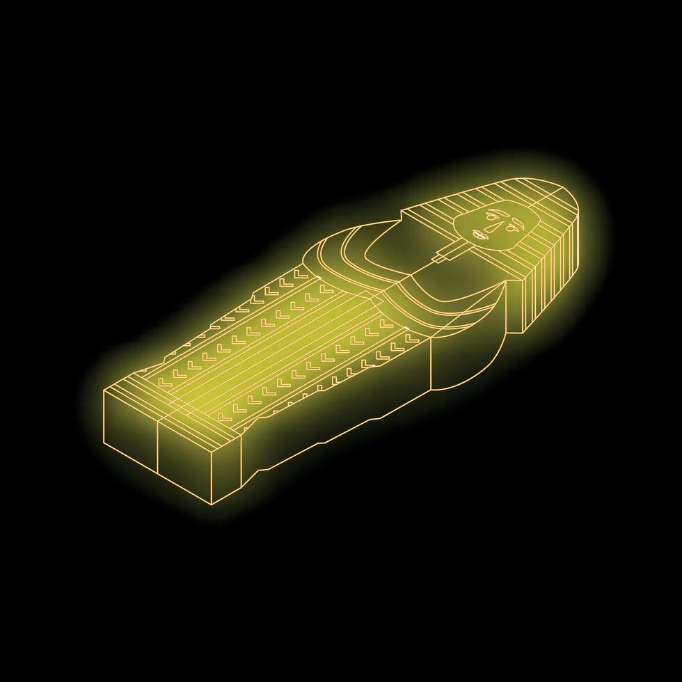 Golden wireframe drawing depicting an ancient egyptian sarcophagus vector