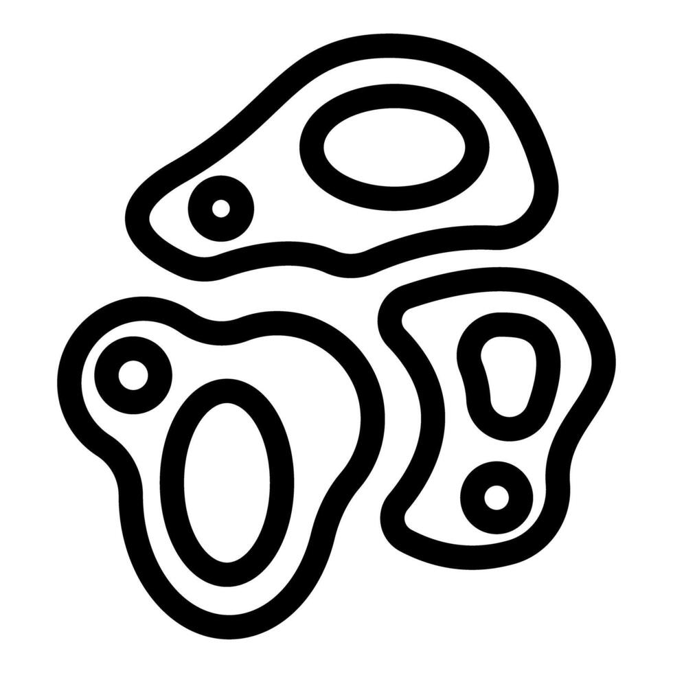 Biological cells dividing and multiplying through mitosis vector
