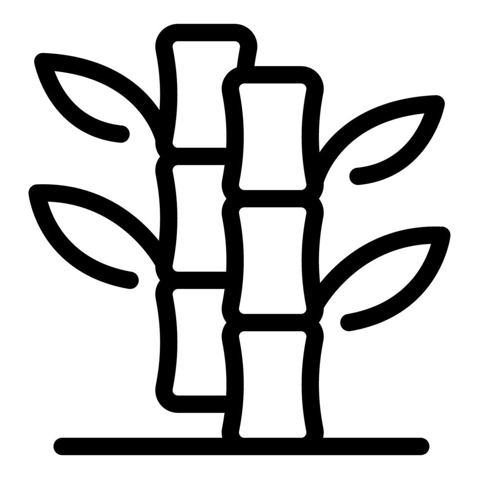Sugar cane stalks growing with leaves, line drawing vector