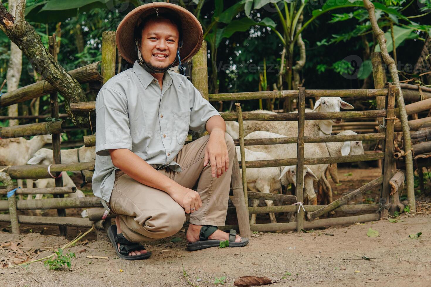 Smiling Asian farmer doing kneeling down pose with livestock goats for sacrifices behind. Eid Al Adha concept. photo