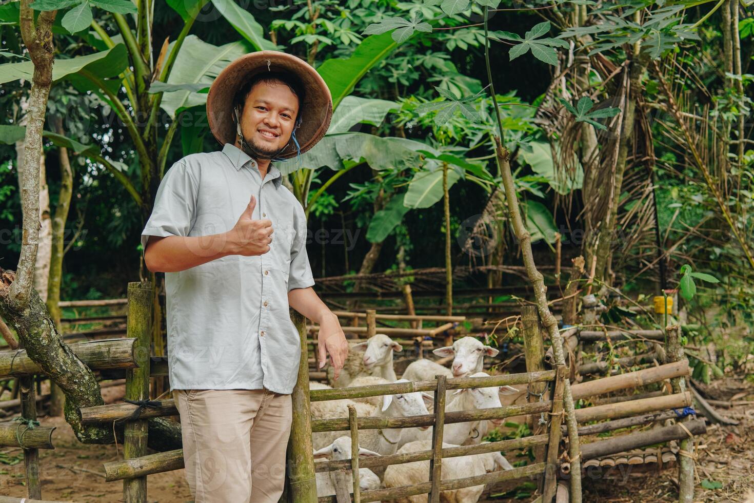 Happy Asian farmer showing thumb up approval gesture with livestock goats for sacrifices behind. Eid Al Adha concept. photo