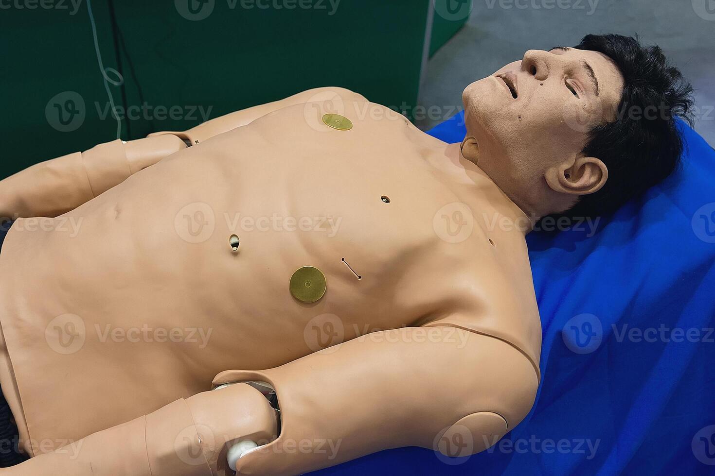 Medical mannequin for studying and training resuscitation photo