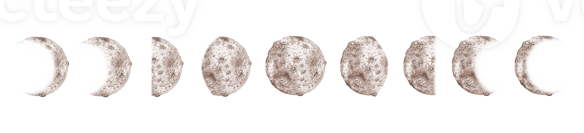Moon phases in brown and beige tones set watercolor illustration. Cosmic body isolated from background. Astrology of moon phases. Design concept for poster, banner, clothing, png