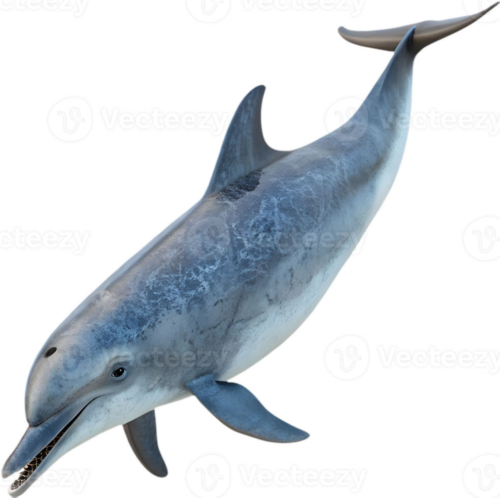 Cheerful Dolphin Swimming Playfully in Bright Vibrant Style. . png