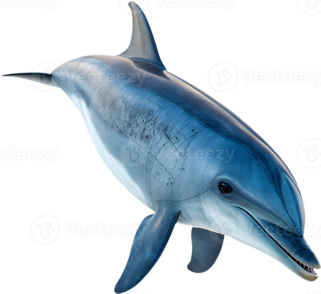 Cheerful Playful Dolphin Swimming with Bright Splash Design. . png