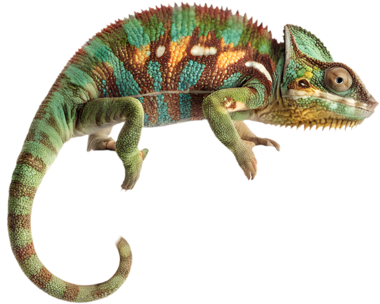 Whimsical Chameleon Clipart for Fun and Colorful Festive Crafts. . png