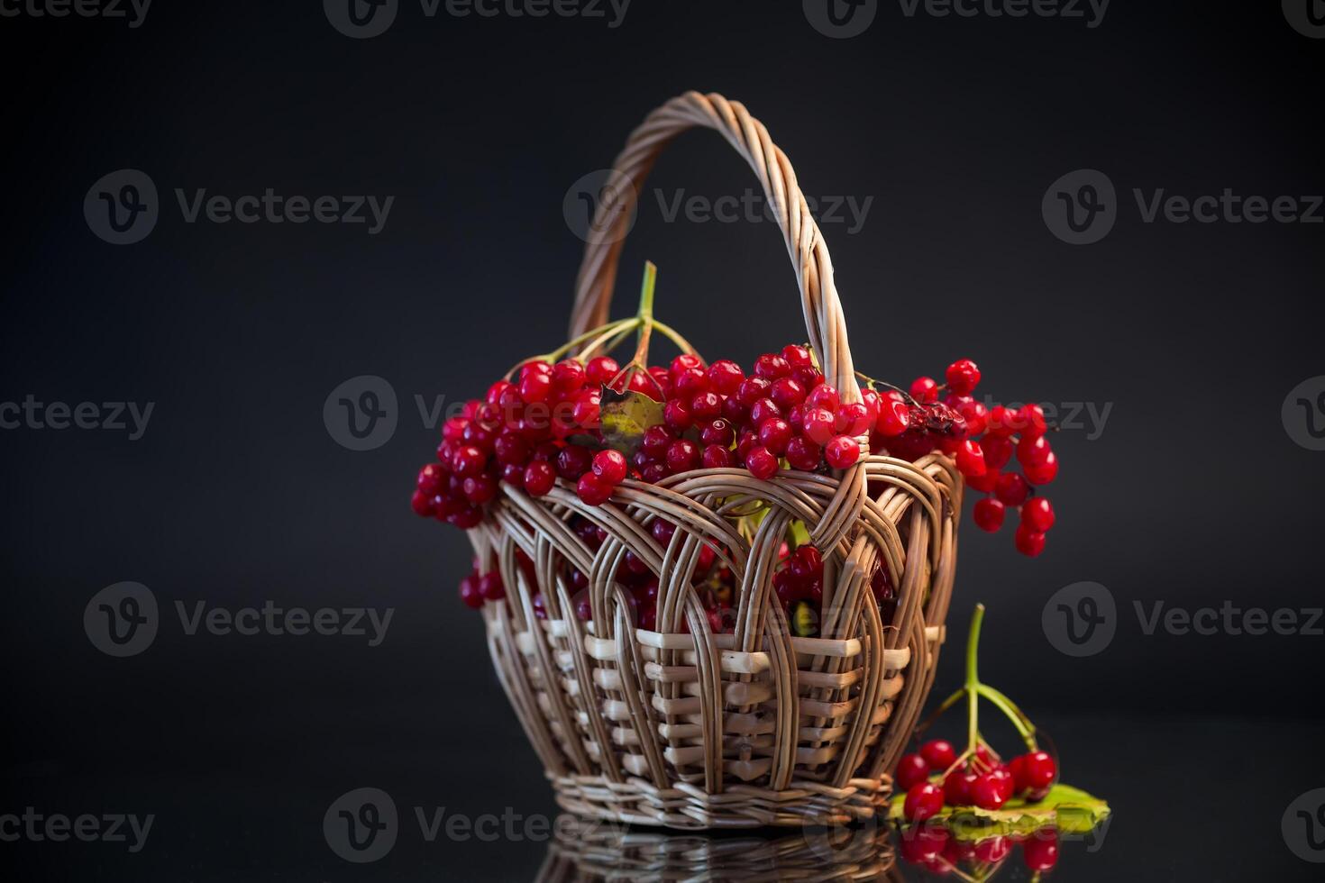 red ripe viburnum in a basket, isolated on black background photo