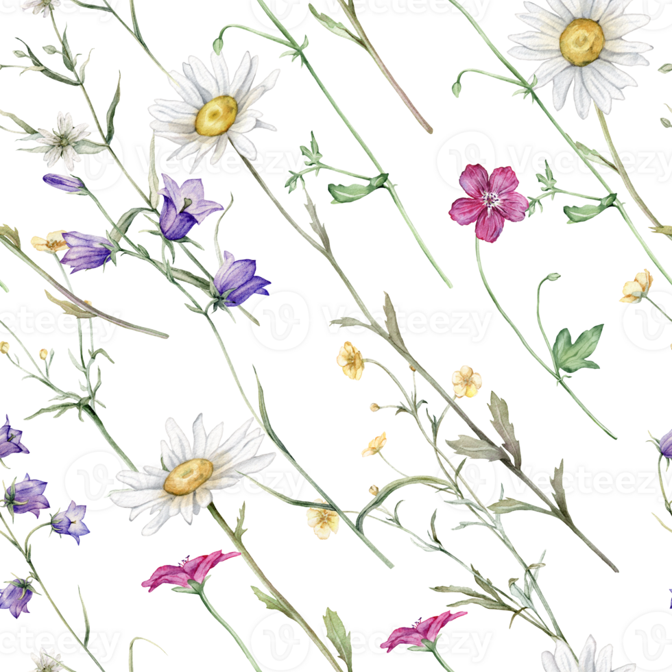 Watercolor floral seamless pattern with summer meadow flowers in botanical rustic style. Hand drawn print with bluebell, buttercup, clover, chamomile, geranium. Repeat wallpaper with leaves and plants png