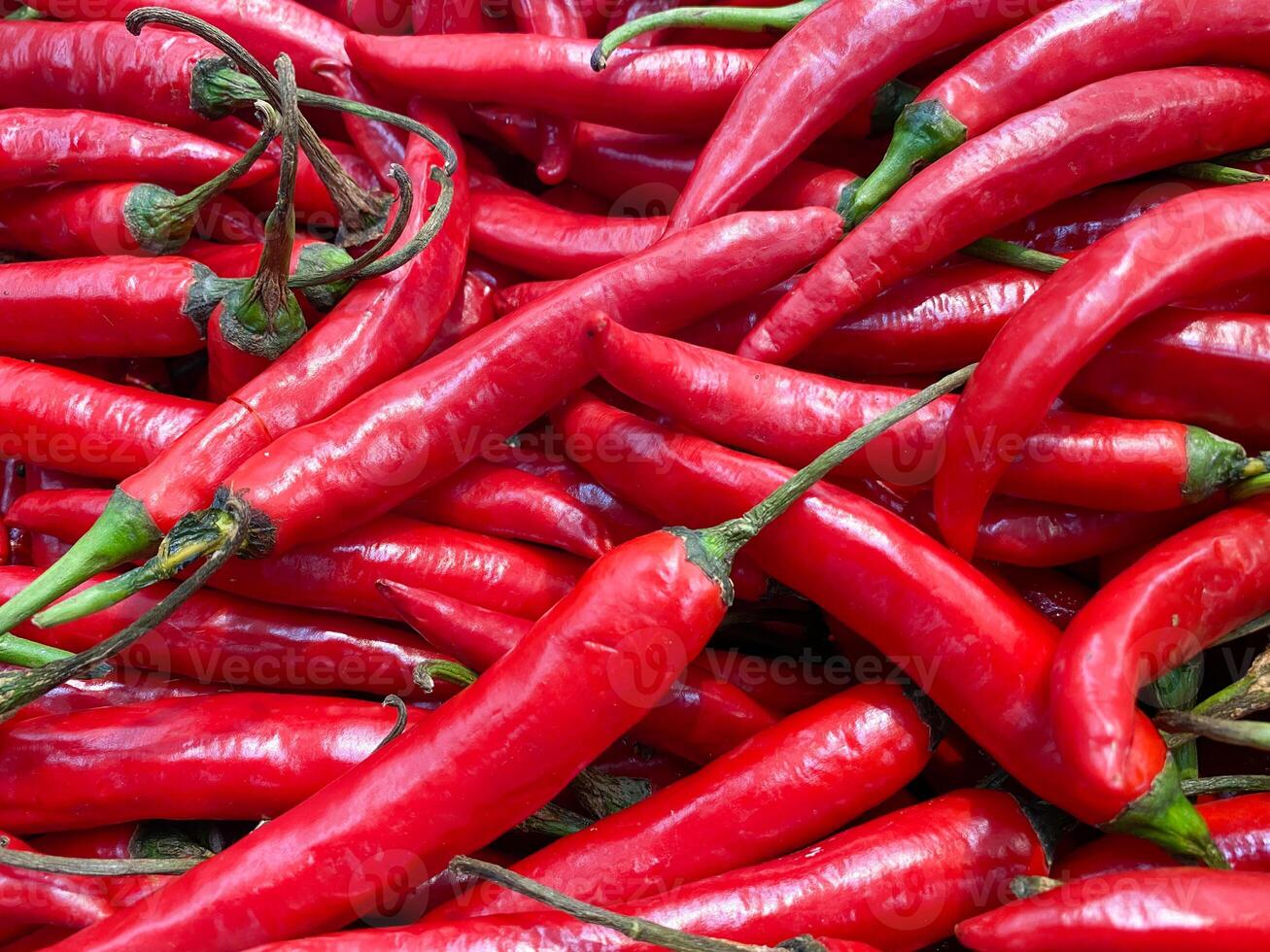 red chili, collections red chili, fresh chili, wallpaper, background. photo