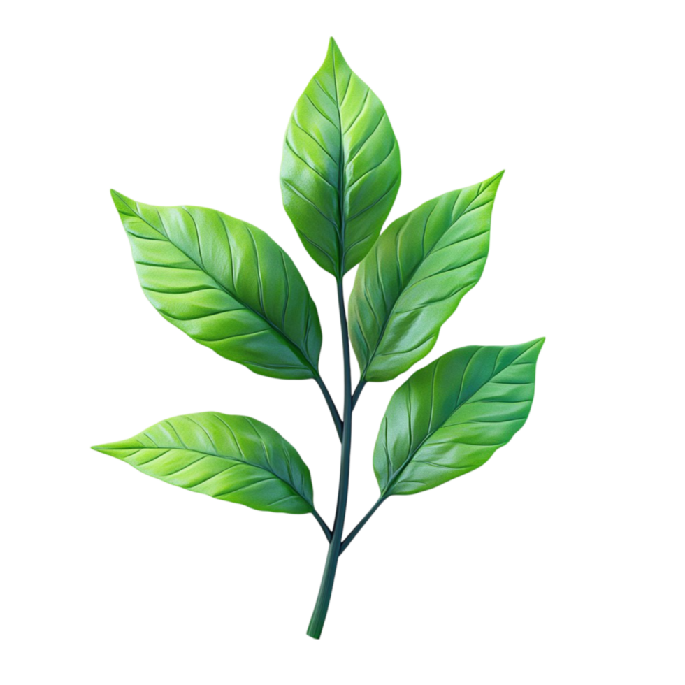 Green Leaves on Branch Close-Up in Nature png