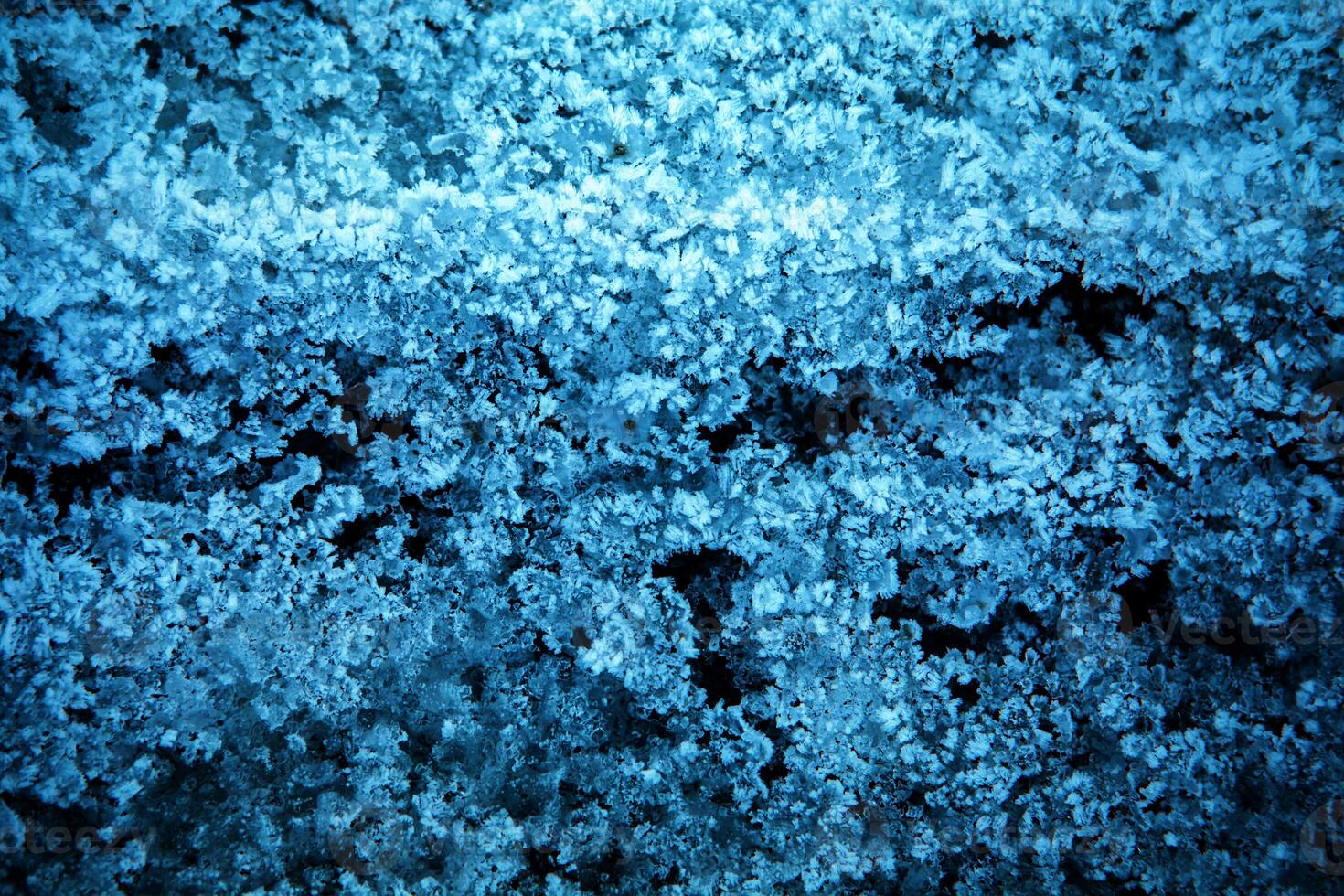 frost texture. frozen ice on the grass. winter hoarfrost background photo