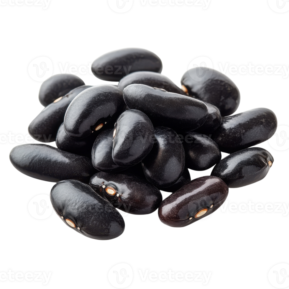 Fresh Bush Bean Isolated for Culinary Use on transparent background png