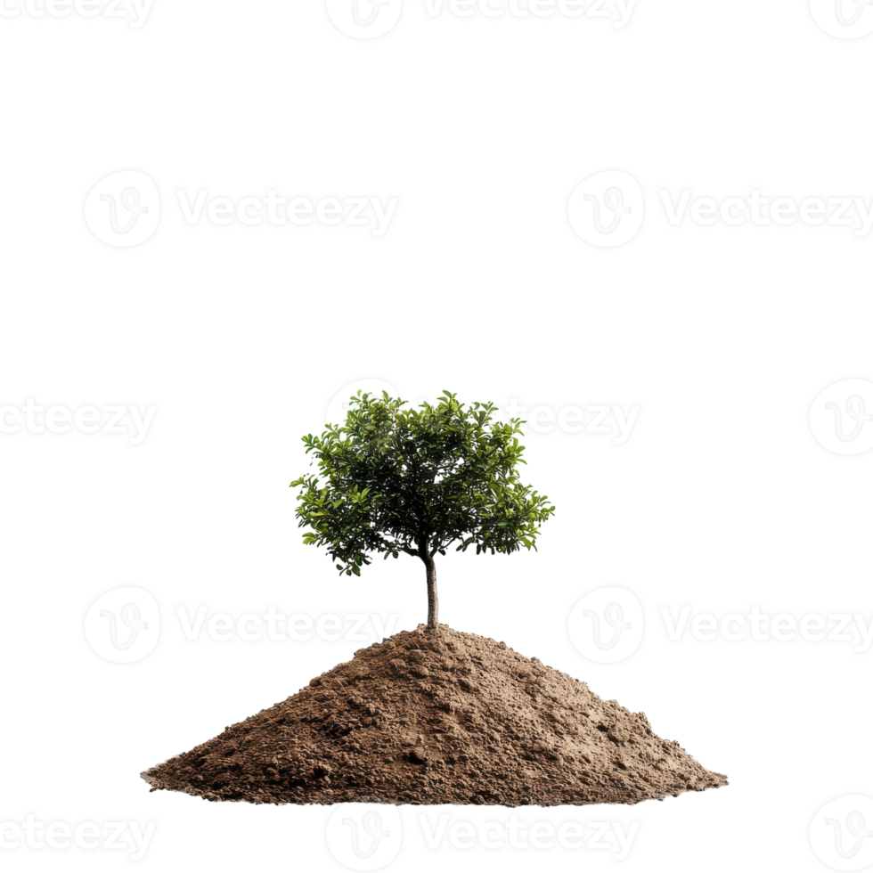 Dirt Pile Isolated on White Background for Construction and Landscaping Projects on transparent background png