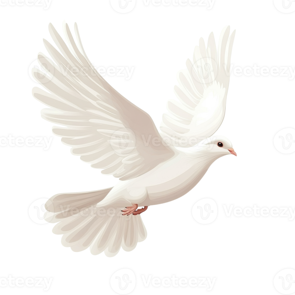 Symbol of Peace Free Flying White Dove Isolated on White Background on transparent background png