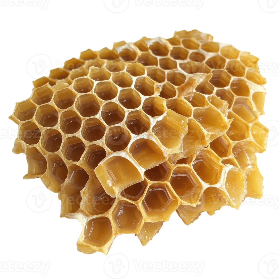 Close-up view of a honeycomb structure for culinary and artistic use on transparent background png