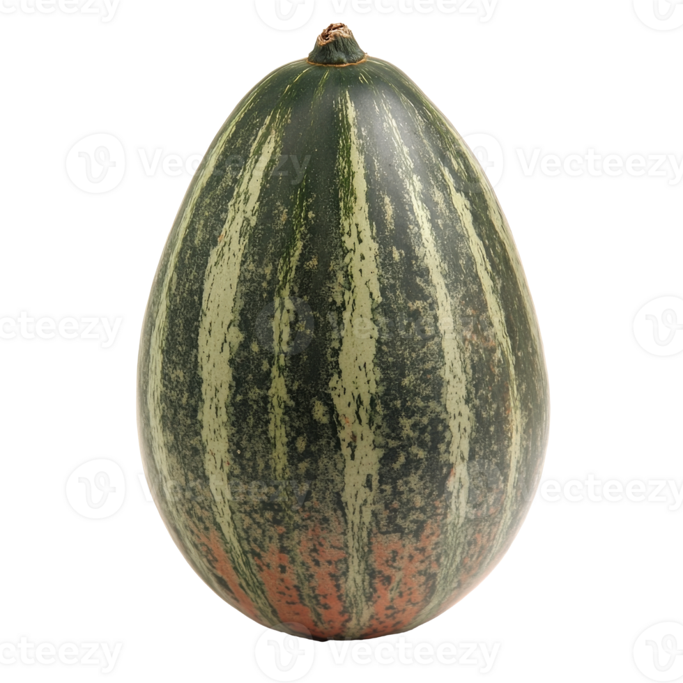 Green striped pumpkin on a white background isolated transparent png