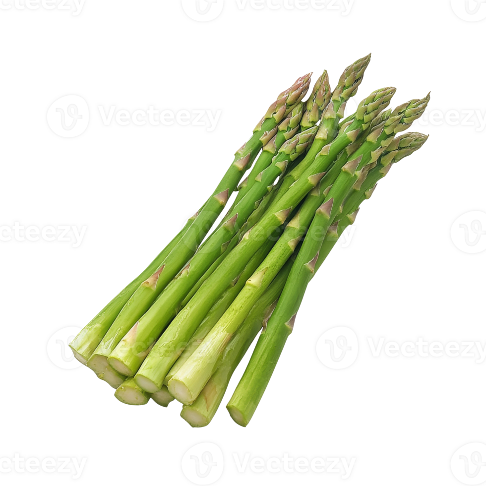 Fresh green asparagus bunch on a white background isolated transparent png