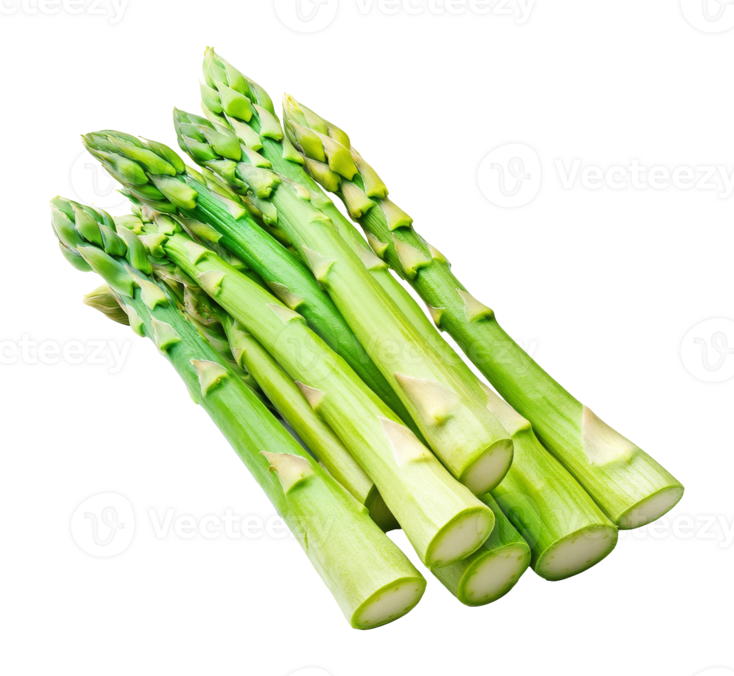 Fresh green asparagus bunch on a white background isolated transparent png