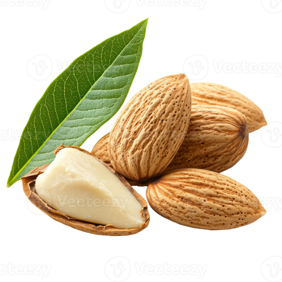 Almonds and green leaves on white isolated transparent png