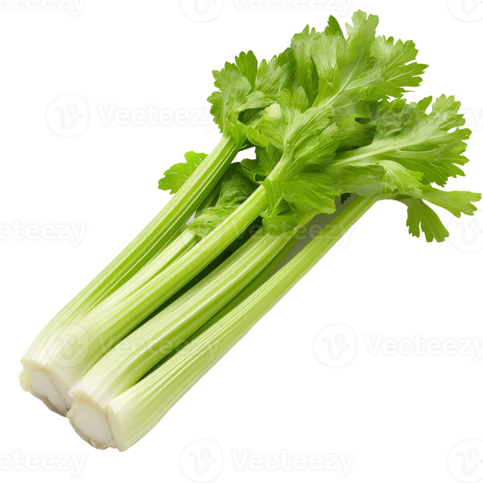 Fresh green celery stalks on a white background isolated transparent png