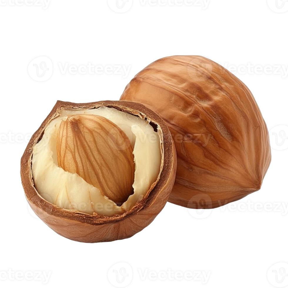 Fresh hazelnuts on white background isolated transparent png