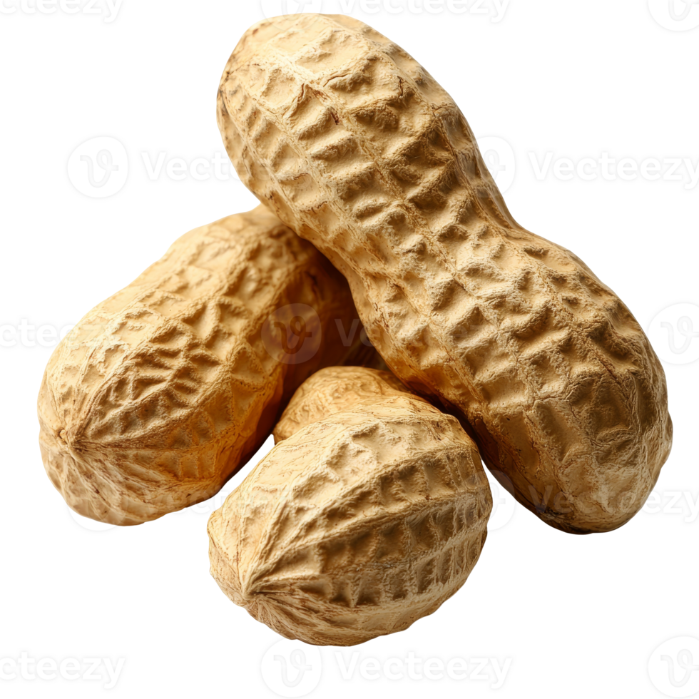 Three raw peanuts on a plain background isolated transparent png