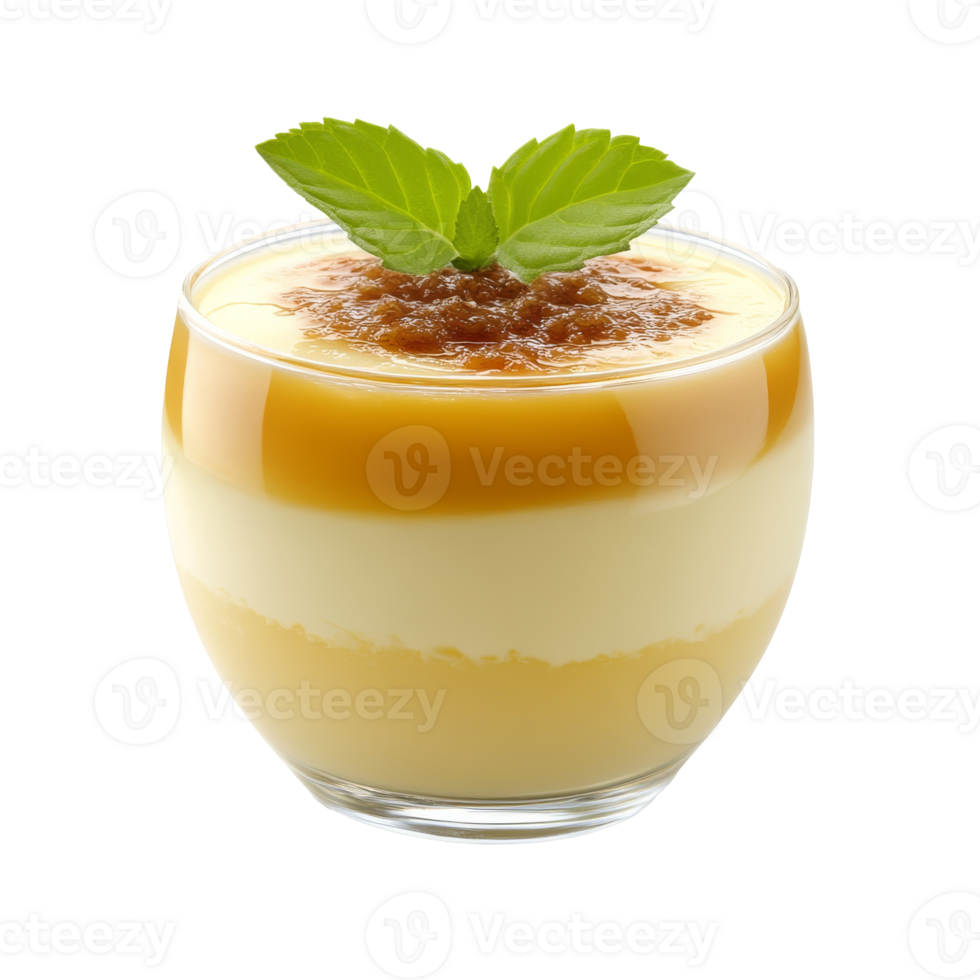 Tasty layered dessert with caramel cream isolated transparent png