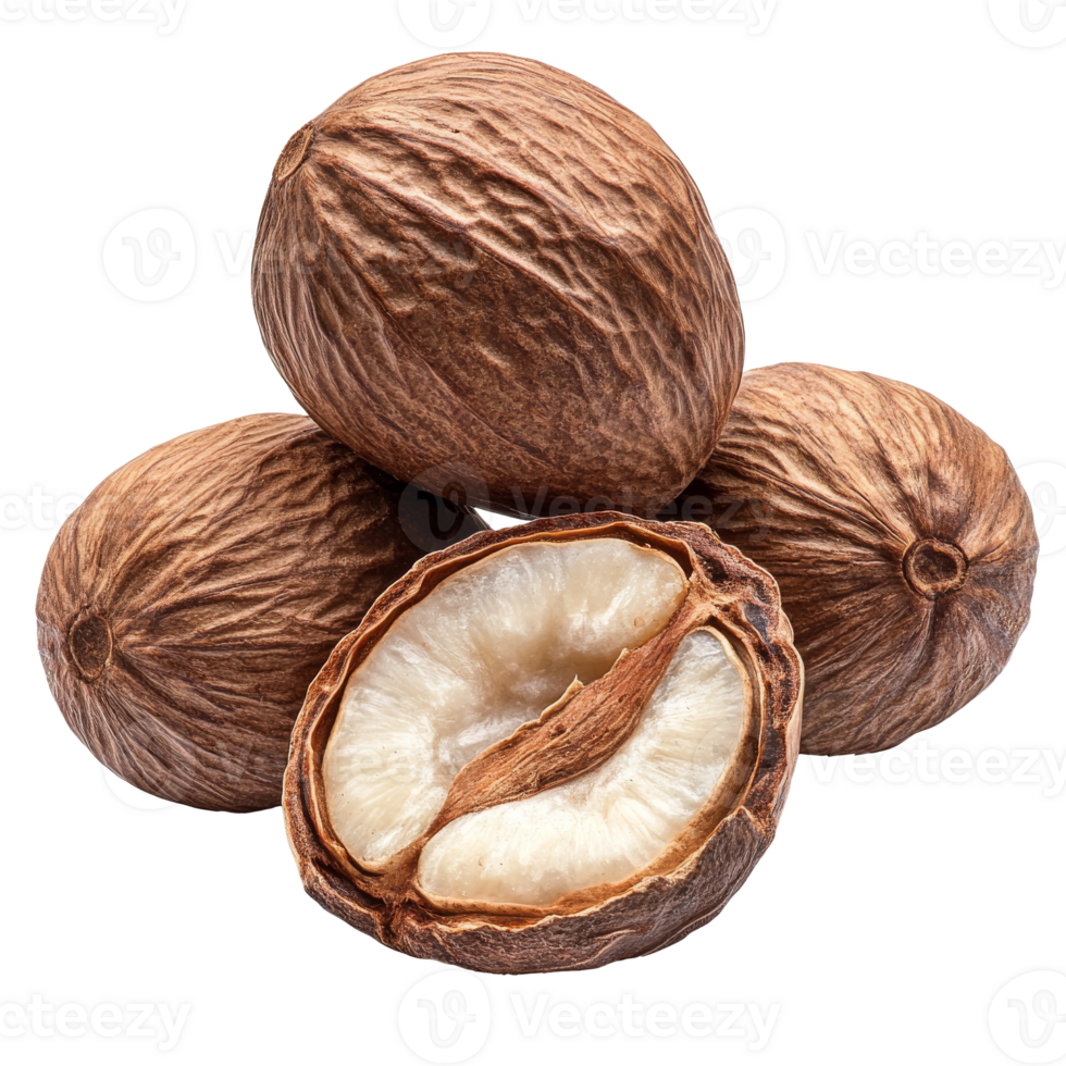 Close up of a nut with hard shell isolated transparent png