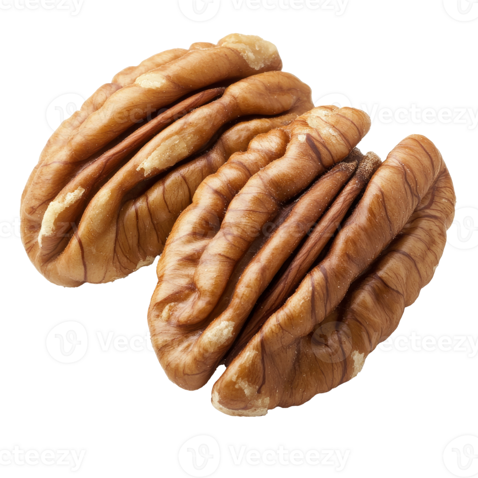 Pecans arranged neatly on a white background isolated transparent png